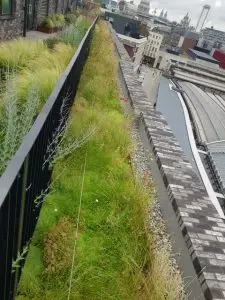City of London Roof Garden