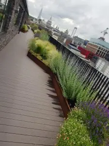London Roof Garden Landscaping