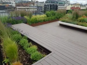 Roof-top Garden for London Office