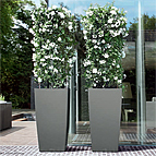 Office Planter