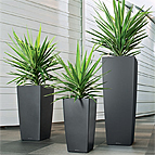Office Plant Landscape Design