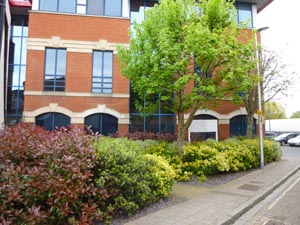 External Office Landscaping