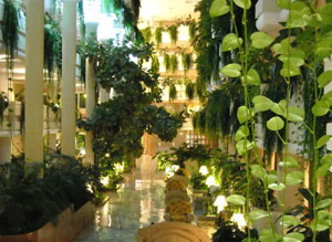 Internal Landscaping